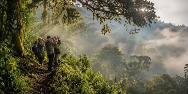 Ruhija Sector
