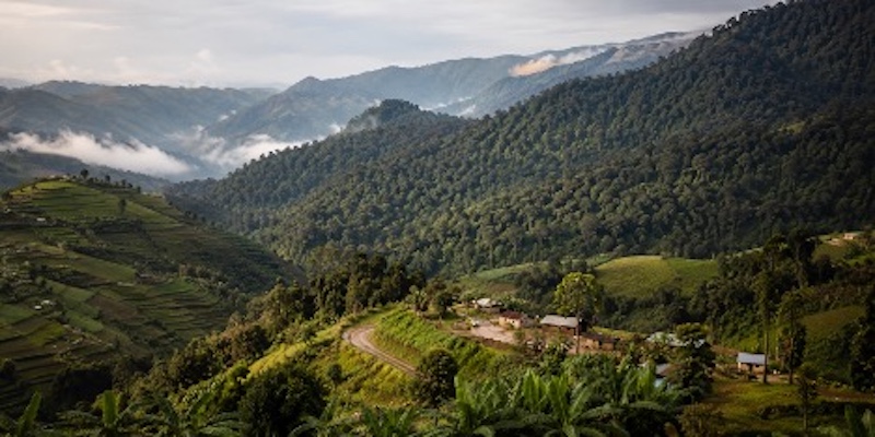 Bwindi Forest View 